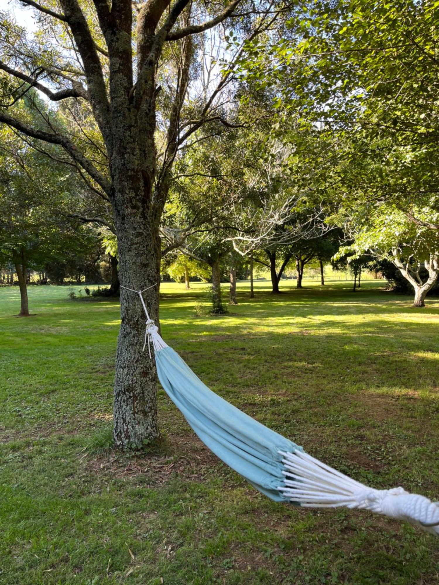 Villa Pond Road Park - Raglan Extérieur photo